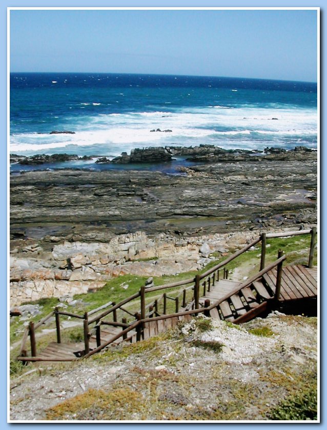 Plett coast